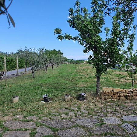 Apartma Vista Baredi Izola Εξωτερικό φωτογραφία