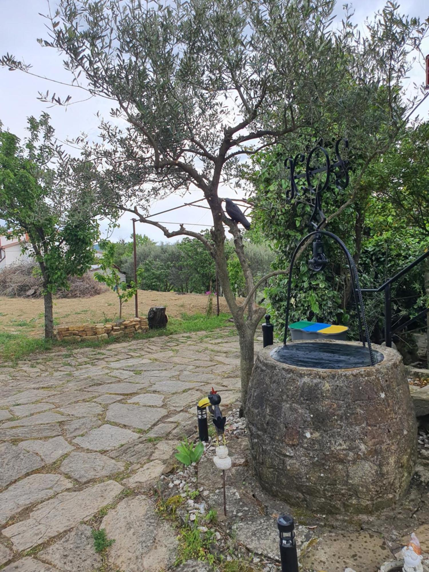 Apartma Vista Baredi Izola Εξωτερικό φωτογραφία